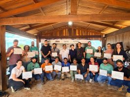 Curso fortalece manejo florestal e capacita profissionais em MT