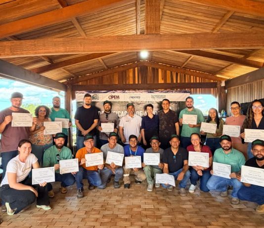 Curso fortalece manejo florestal e capacita profissionais em MT
