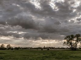 El Niño deve intensificar mudanças no clima do Brasil nos próximos meses