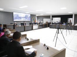 Câmara de Alta Floresta aprova emenda que limita acúmulo interino de Secretarias Municipais