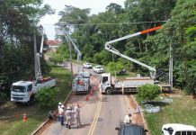 Prefeitura de Alta Floresta amplia ações de proteção à fauna com oito novas pontes de dossel