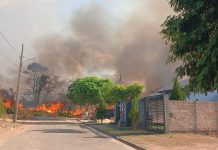 Incêndios em vegetação mobilizam Bombeiros em Alta Floresta