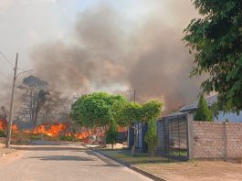 Incêndios em vegetação mobilizam Bombeiros em Alta Floresta