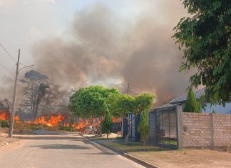 Incêndios em vegetação mobilizam Bombeiros em Alta Floresta