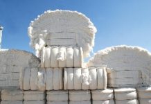 Brasil bate recorde e exporta 3,37 milhões de toneladas
