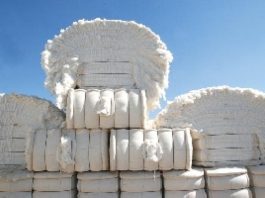 Brasil bate recorde e exporta 3,37 milhões de toneladas