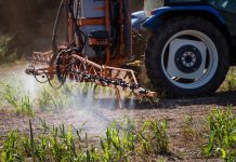 TJMT muda regras para aplicação de defensivos agrícolas em Mato Grosso
