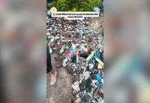 Jovem rastreia celular roubado e encontra centenas de aparelhos em terreno