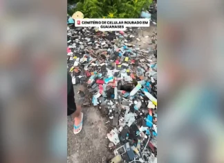 Jovem rastreia celular roubado e encontra centenas de aparelhos em terreno