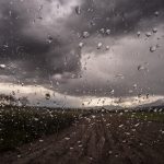 El Niño desafia agricultura tropical brasileira e reforça importância da adaptação