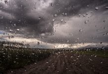 El Niño desafia agricultura tropical brasileira e reforça importância da adaptação