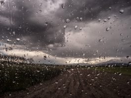 El Niño desafia agricultura tropical brasileira e reforça importância da adaptação