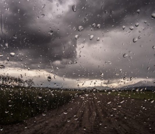 El Niño desafia agricultura tropical brasileira e reforça importância da adaptação