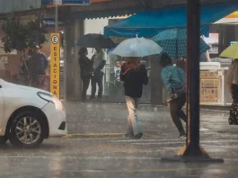 Defesa Civil alerta para temporais severos no RS e confirma tornado no Sul do Estado