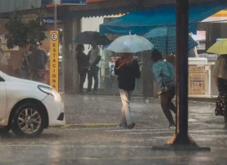 Defesa Civil alerta para temporais severos no RS e confirma tornado no Sul do Estado