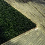 Desmatamento atinge 1,7% das terras indígenas e cai na Amazônia