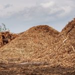 Madeira nativa de MT ganha repercussão nacional em disputa ambiental