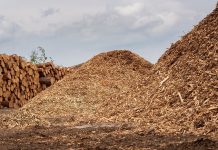 Madeira nativa de MT ganha repercussão nacional em disputa ambiental