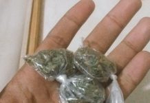 Homem é preso com cinco porções de maconha durante fiscalização em Paranaíta