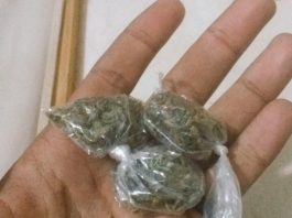 Homem é preso com cinco porções de maconha durante fiscalização em Paranaíta