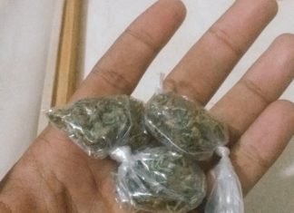 Homem é preso com cinco porções de maconha durante fiscalização em Paranaíta