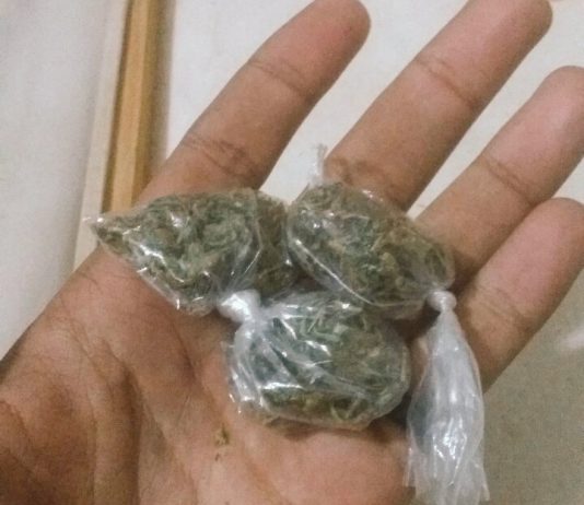 Homem é preso com cinco porções de maconha durante fiscalização em Paranaíta