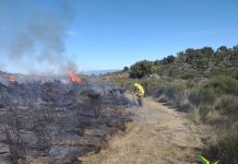 Incêndio em ilha no Rio Teles Pires é controlado por moradores