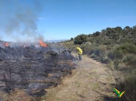 Incêndio em ilha no Rio Teles Pires é controlado por moradores