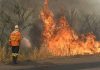 Aprosoja MT orienta produtores a reforçar prevenção contra incêndios
