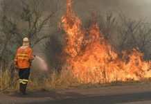 Aprosoja MT orienta produtores a reforçar prevenção contra incêndios