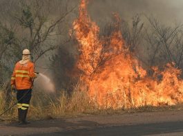 Aprosoja MT orienta produtores a reforçar prevenção contra incêndios