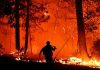Incêndio de grandes proporções assusta moradores às margens da MT-320