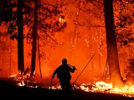 Terras Indígenas concentram 27 focos de calor em Mato Grosso