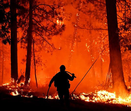 Incêndio de grandes proporções assusta moradores às margens da MT-320