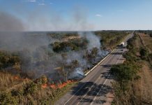 Baixa umidade e calor intenso marcam o período mais crítico da seca no campo mato-grossense