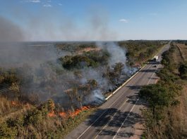 Baixa umidade e calor intenso marcam o período mais crítico da seca no campo mato-grossense
