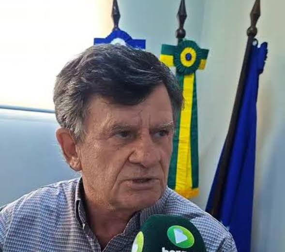 Ari Zandoná