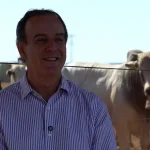 Pecuarista de MT aposta em intensificação para produzir até 24 vezes mais na mesma área e preservar