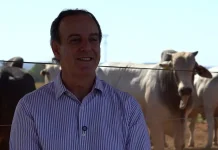 Pecuarista de MT aposta em intensificação para produzir até 24 vezes mais na mesma área e preservar