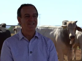 Pecuarista de MT aposta em intensificação para produzir até 24 vezes mais na mesma área e preservar