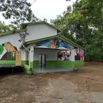 Cuiabá terá novo centro para triagem e reabilitação de animais silvestres
