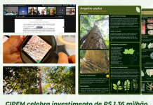 CIPEM celebra investimento de R$ 1,36 milhão do governo de MT em ciência florestal e ampliação de guia inédito de espécies