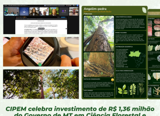 CIPEM celebra investimento de R$ 1,36 milhão do governo de MT em ciência florestal e ampliação de guia inédito de espécies