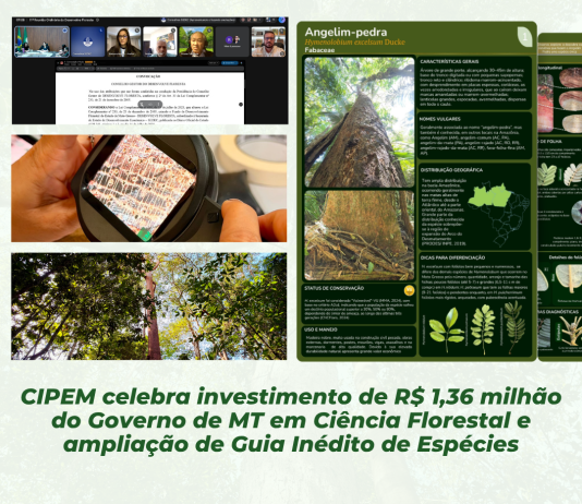 CIPEM celebra investimento de R$ 1,36 milhão do governo de MT em ciência florestal e ampliação de guia inédito de espécies