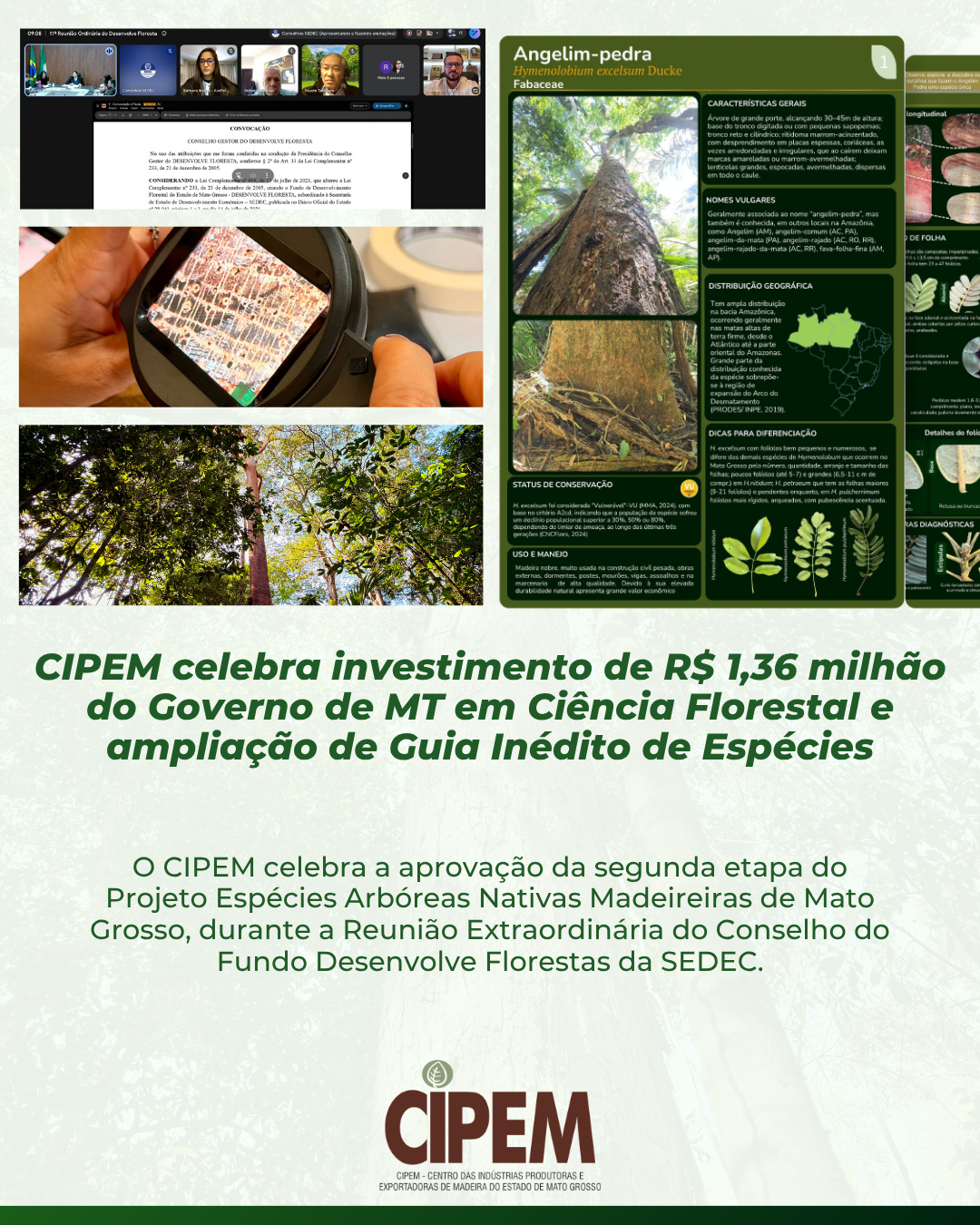 CIPEM celebra investimento de R$ 1,36 milhão do governo de MT em ciência florestal e ampliação de guia inédito de espécies