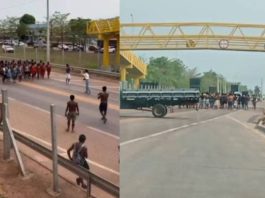 Indígenas bloqueiam BR-163 em Novo Progresso e cobram medidas