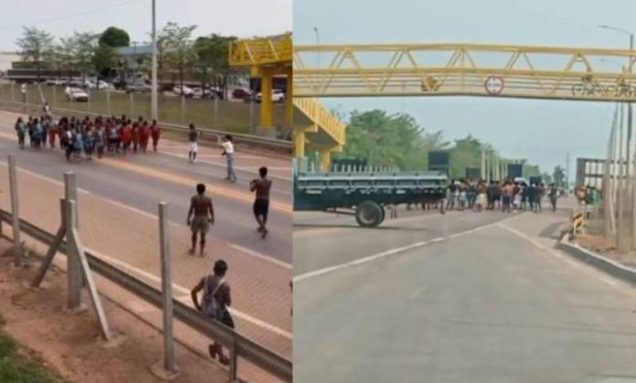 Indios Novo Progresso