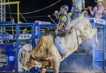 34ª Festa do Peão Pantaneiro começa nesta quinta em Santo Antônio