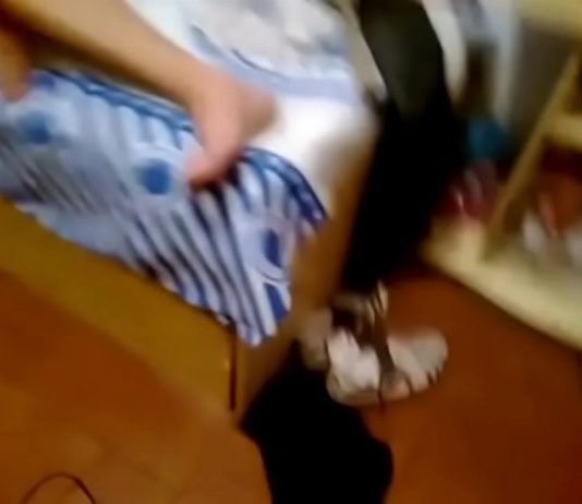 “Usou até as pantufas”: Homem flagra esposa com outro e destrói carro a golpes de facão em MT