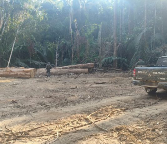 PM apreende 110 toras de madeira em reserva ambiental de Colniza